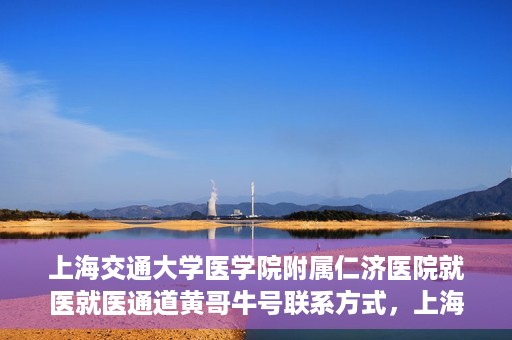 上海交通大学医学院附属仁济医院就医就医通道黄哥牛号联系方式，上海交通大学医学院附属仁济医院就医通道详解，黄哥牛号联系方式揭秘