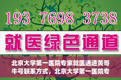 北京大学第一医院专家就医通道黄哥牛号联系方式，北京大学第一医院专家就医通道，黄哥牛号联系方式全解析