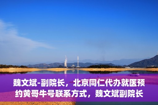 魏文斌-副院长，北京同仁代办就医预约黄哥牛号联系方式，魏文斌副院长与北京同仁医院预约就医攻略，黄哥牛号联系方式揭秘