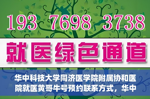 华中科技大学同济医学院附属协和医院就医黄哥牛号预约联系方式，华中科技大学同济医学院附属协和医院就医预约联系方式及黄哥牛号预约揭秘