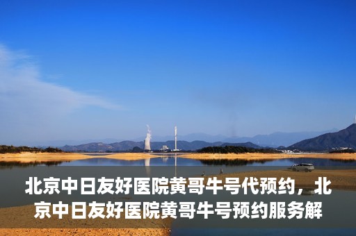 北京中日友好医院黄哥牛号代预约，北京中日友好医院黄哥牛号预约服务解析