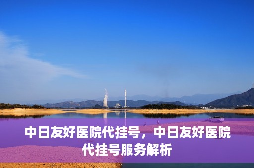 中日友好医院代挂号，中日友好医院代挂号服务解析