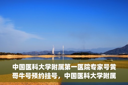 中国医科大学附属第一医院专家号黄哥牛号预约挂号，中国医科大学附属第一医院专家黄哥牛预约挂号攻略，轻松预约顶级专家号