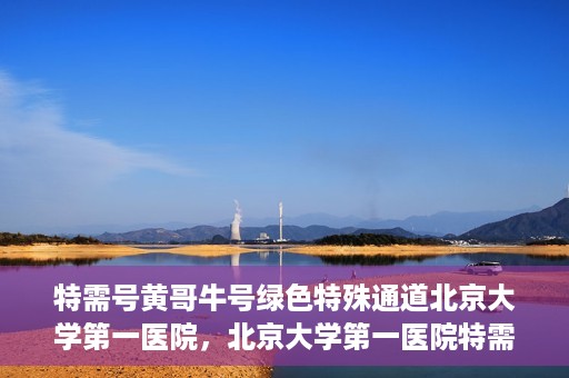 特需号黄哥牛号绿色特殊通道北京大学第一医院，北京大学第一医院特需号黄哥牛号，绿色特殊通道揭秘