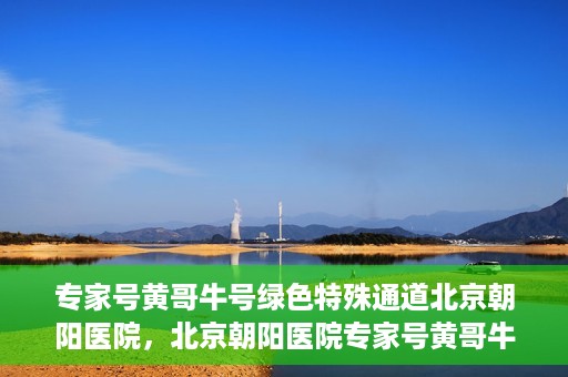 专家号黄哥牛号绿色特殊通道北京朝阳医院，北京朝阳医院专家号黄哥牛号开启绿色特殊通道，助力患者高效就医
