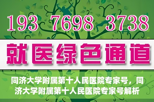 同济大学附属第十人民医院专家号，同济大学附属第十人民医院专家号解析，权威医疗团队的专业解读与诊疗服务