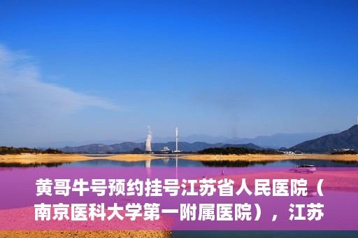黄哥牛号预约挂号江苏省人民医院（南京医科大学第一附属医院），江苏省人民医院（南京医科大学第一附属医院）黄哥牛号预约挂号服务启动