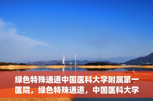 绿色特殊通道中国医科大学附属第一医院，绿色特殊通道，中国医科大学附属第一医院探索前行