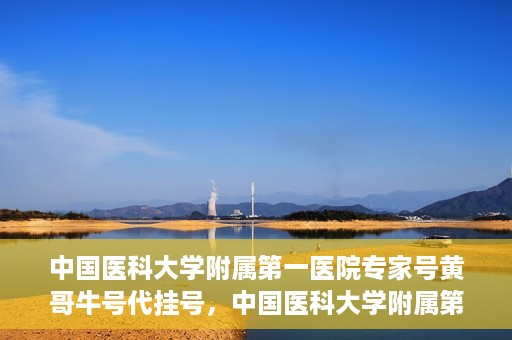 中国医科大学附属第一医院专家号黄哥牛号代挂号，中国医科大学附属第一医院专家号代挂号揭秘，黄哥牛号背后的故事