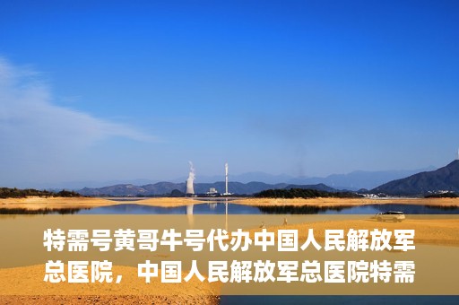 特需号黄哥牛号代办中国人民解放军总医院，中国人民解放军总医院特需号黄哥牛号代办服务解析