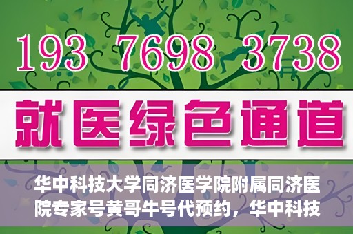 华中科技大学同济医学院附属同济医院专家号黄哥牛号代预约，华中科技大学同济医院专家号黄哥牛号预约服务启动