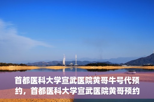 首都医科大学宣武医院黄哥牛号代预约，首都医科大学宣武医院黄哥预约代挂号服务解析