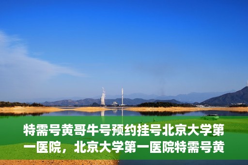 特需号黄哥牛号预约挂号北京大学第一医院，北京大学第一医院特需号黄哥牛号预约挂号攻略