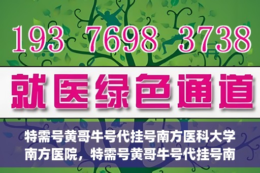 特需号黄哥牛号代挂号南方医科大学南方医院，特需号黄哥牛号代挂号南方医院就医攻略揭秘