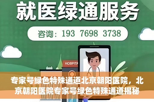 专家号绿色特殊通道北京朝阳医院，北京朝阳医院专家号绿色特殊通道揭秘，医疗服务的创新与优化体验