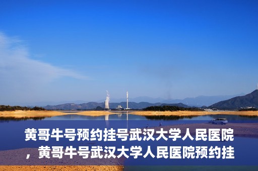 黄哥牛号预约挂号武汉大学人民医院，黄哥牛号武汉大学人民医院预约挂号攻略