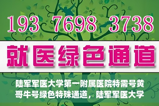 陆军军医大学第一附属医院特需号黄哥牛号绿色特殊通道，陆军军医大学第一附属医院特需号黄哥牛号，绿色特殊通道的独家解读