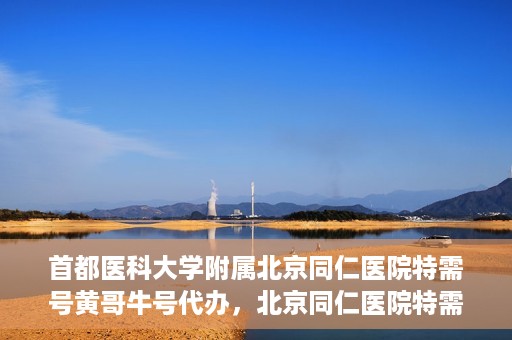 首都医科大学附属北京同仁医院特需号黄哥牛号代办，北京同仁医院特需号黄哥牛号代办，深度解析医疗服务的特殊渠道