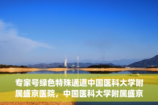 专家号绿色特殊通道中国医科大学附属盛京医院，中国医科大学附属盛京医院专家号绿色特殊通道解析