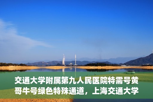 交通大学附属第九人民医院特需号黄哥牛号绿色特殊通道，上海交通大学附属第九医院特需号专家黄哥牛号绿色就医通道解析