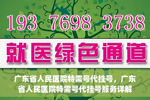 广东省人民医院特需号代挂号，广东省人民医院特需号代挂号服务详解