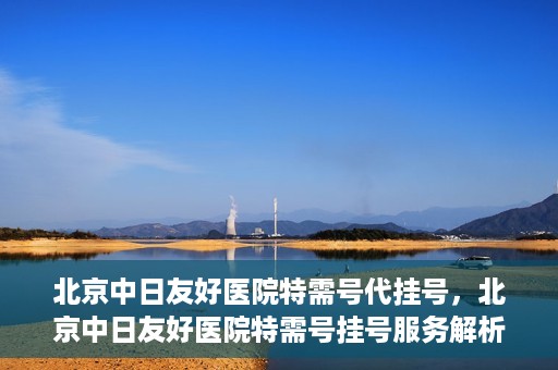 北京中日友好医院特需号代挂号，北京中日友好医院特需号挂号服务解析