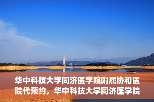 华中科技大学同济医学院附属协和医院代预约，华中科技大学同济医学院附属协和医院便捷代预约服务解析