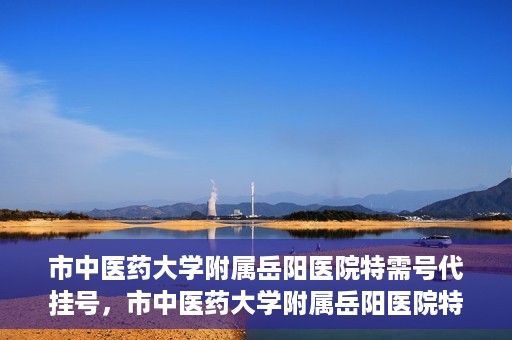 市中医药大学附属岳阳医院特需号代挂号，市中医药大学附属岳阳医院特需号代挂号服务解析
