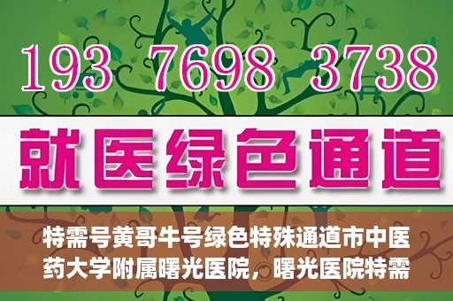特需号黄哥牛号绿色特殊通道市中医药大学附属曙光医院，曙光医院特需号绿色特殊通道，黄哥牛号引领中医新时代风潮