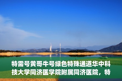 特需号黄哥牛号绿色特殊通道华中科技大学同济医学院附属同济医院，特需号黄哥牛号背后的绿色特殊通道，华中科技大学同济医学院附属同济医院的探索与实践