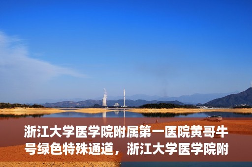 浙江大学医学院附属第一医院黄哥牛号绿色特殊通道，浙江大学医学院附属第一医院绿色特殊通道，黄哥牛号引领医疗创新之路