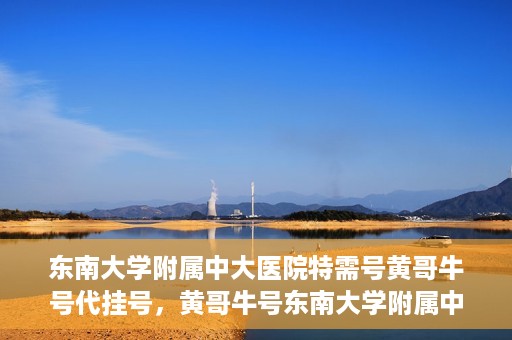 东南大学附属中大医院特需号黄哥牛号代挂号，黄哥牛号东南大学附属中大医院特需号代挂号解析与体验分享