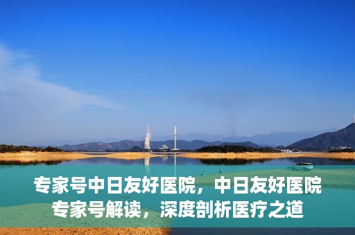 专家号中日友好医院，中日友好医院专家号解读，深度剖析医疗之道