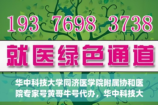 华中科技大学同济医学院附属协和医院专家号黄哥牛号代办，华中科技大学同济医学院附属协和医院专家号代办揭秘，黄哥牛号助您轻松预约专家号