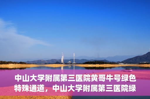 中山大学附属第三医院黄哥牛号绿色特殊通道，中山大学附属第三医院绿色特殊通道，黄哥牛号引领医疗创新之路