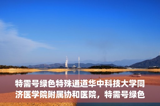 特需号绿色特殊通道华中科技大学同济医学院附属协和医院，特需号绿色通道的奥秘，华中科技大学同济医学院附属协和医院独家解读