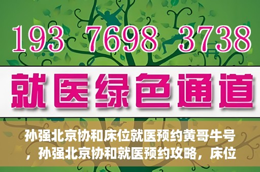 孙强北京协和床位就医预约黄哥牛号，孙强北京协和就医预约攻略，床位预约秘籍与黄哥牛号揭秘