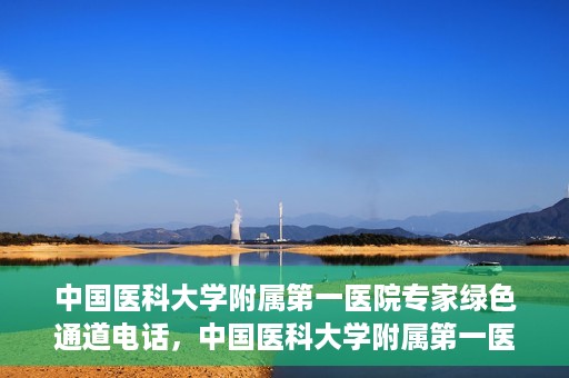 中国医科大学附属第一医院专家绿色通道电话，中国医科大学附属第一医院专家绿色通道热线电话揭秘