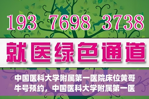 中国医科大学附属第一医院床位黄哥牛号预约，中国医科大学附属第一医院床位预约攻略，黄哥牛号预约详解