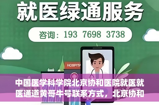 中国医学科学院北京协和医院就医就医通道黄哥牛号联系方式，北京协和医院就医通道解析，黄哥牛号联系方式揭秘
