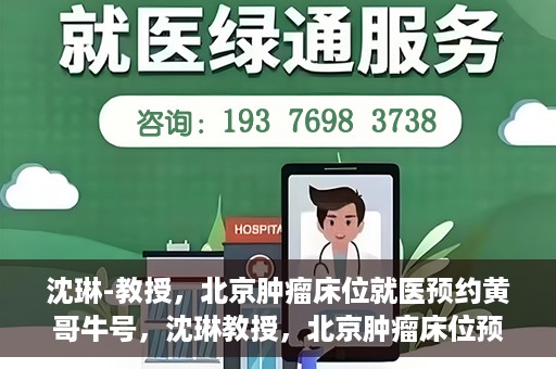 沈琳-教授，北京肿瘤床位就医预约黄哥牛号，沈琳教授，北京肿瘤床位预约秘籍揭秘——黄哥牛号引领就医新风尚