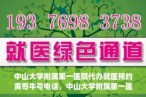 中山大学附属第一医院代办就医预约黄哥牛号电话，中山大学附属第一医院预约就医助手黄哥牛联系方式揭秘
