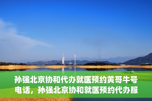 孙强北京协和代办就医预约黄哥牛号电话，孙强北京协和就医预约代办服务，黄哥牛号联系电话公开