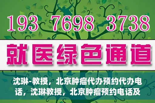 沈琳-教授，北京肿瘤代办预约代办电话，沈琳教授，北京肿瘤预约电话及代办服务解析