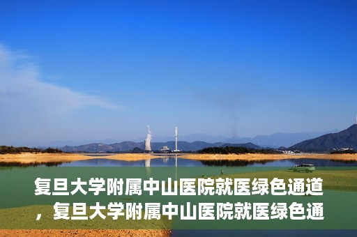 复旦大学附属中山医院就医绿色通道，复旦大学附属中山医院就医绿色通道，打造便捷医疗体验新篇章