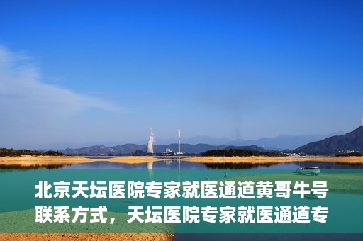 北京天坛医院专家就医通道黄哥牛号联系方式，天坛医院专家就医通道专家联系方式揭秘，黄哥牛号就医指南