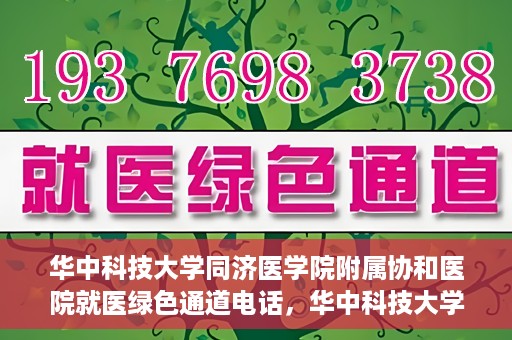 华中科技大学同济医学院附属协和医院就医绿色通道电话，华中科技大学同济医学院附属协和医院就医绿色通道服务热线解析