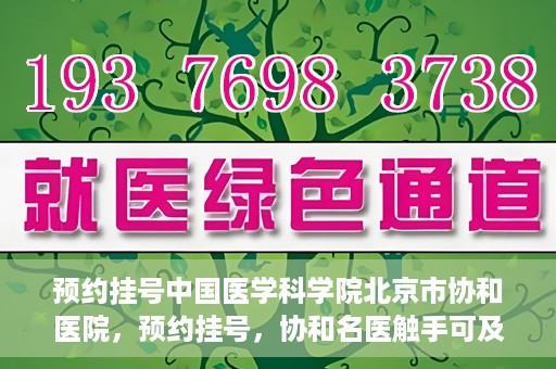 预约挂号中国医学科学院北京市协和医院，预约挂号，协和名医触手可及，中国医学科学院北京市协和医院就医指南