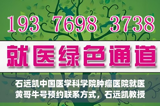 石远凯中国医学科学院肿瘤医院就医黄哥牛号预约联系方式，石远凯教授，中国医学科学院肿瘤医院就医攻略及黄哥牛号预约联系方式揭秘