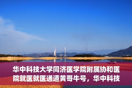 华中科技大学同济医学院附属协和医院就医就医通道黄哥牛号，华中科技大学同济医学院附属协和医院就医通道详解，黄哥牛号引领就医新体验